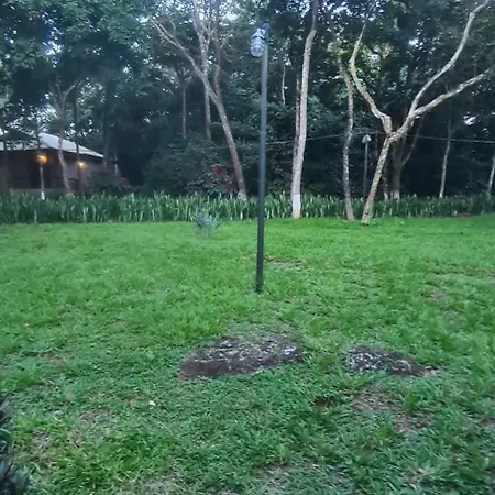 Bosque São Francisco-2