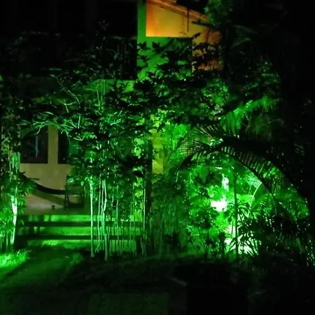 Pousada Quintessencia - Tranquilidade, Natureza, Yoga-3