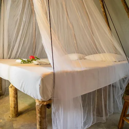 Treehouse Kitecamp Jericoacoara-3