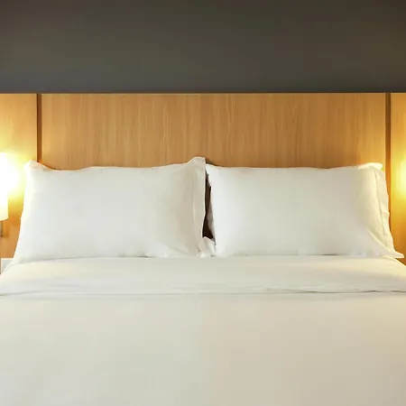 Ibis Cascavel-3