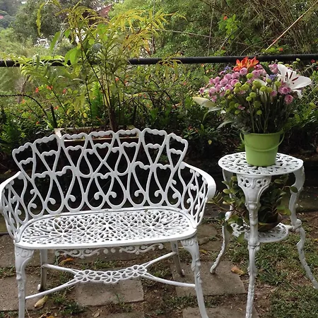 Casa Caminho Do Corcovado - Pet Friendly-3