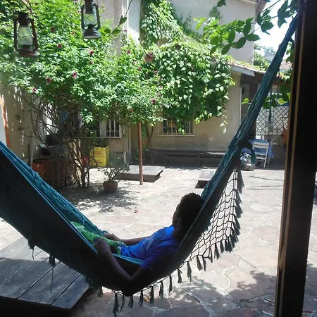 3Dogs Hostel-3
