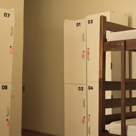 The Backpacker Cat Hostel-3