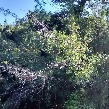 Republica Nossa Casa-3