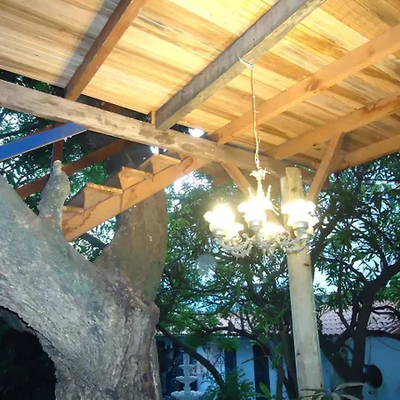 Casa na Árvore-3