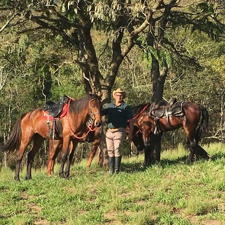 Rancho Cavalo Mania-3