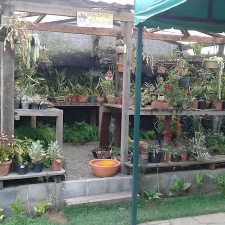 Pouso Realeza-2