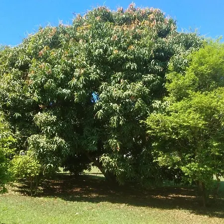 Linda Chácara - Águas de São Pedro - Próximo ao Parque Thermas-3