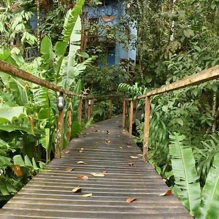 Sh Hostel Trindade-2