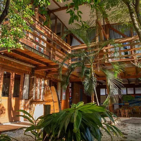 Caza Floripa-2