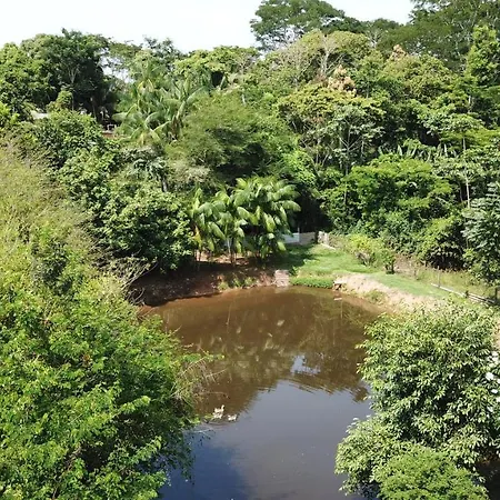 Recanto na Floresta-2