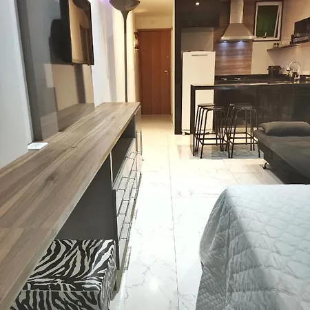 Luxury Ocean View Copacabana-2