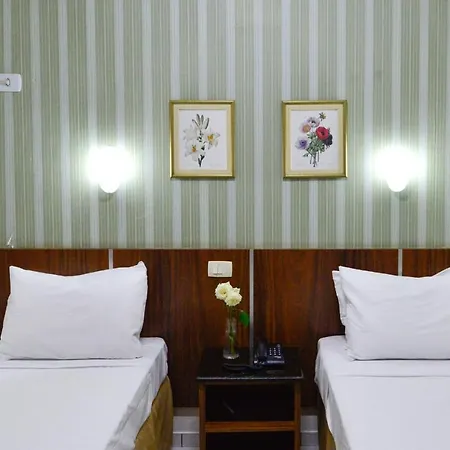Araucaria Hotel Business - Maringá-3