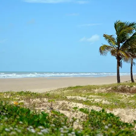 Tropical Mar-3