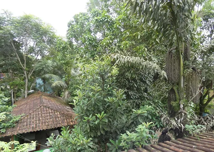 Pousada Jambo Trindade