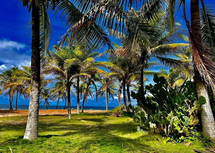 Villa Praia Do Sol Triplex Beach House Salvador da Bahia