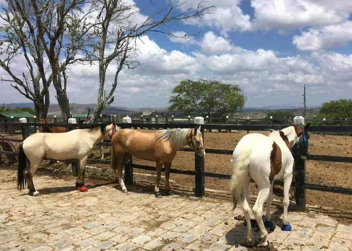 Apart Hotel Fazenda Monte Castelo - Gravatá