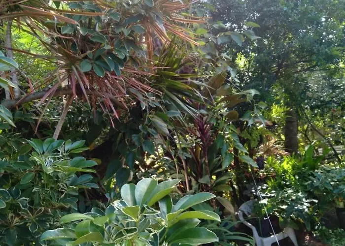 Hospedaria D'Maria Salvador
