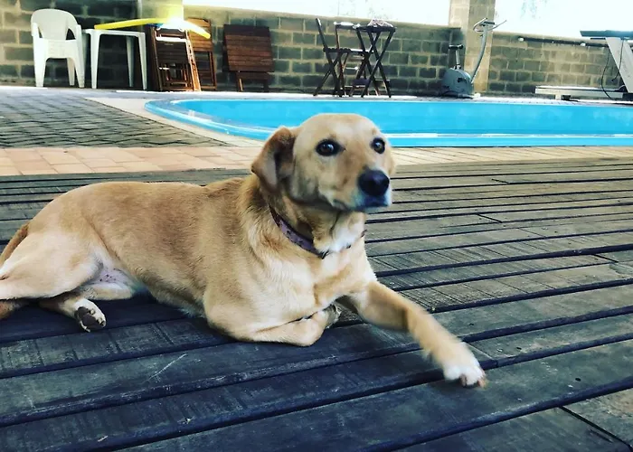 Hotel Recanto Dos Bambus Em Palmeirinha Guarapuava