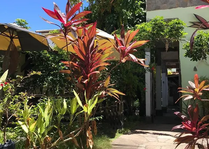 Hotel Toca Da Rapoza Salvador de Bahía admite animales