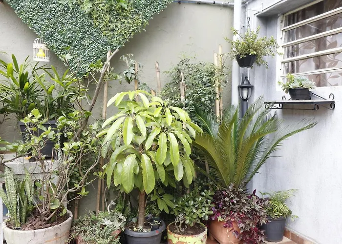 A Pousada Hospedaria Da Mama São Paulo
