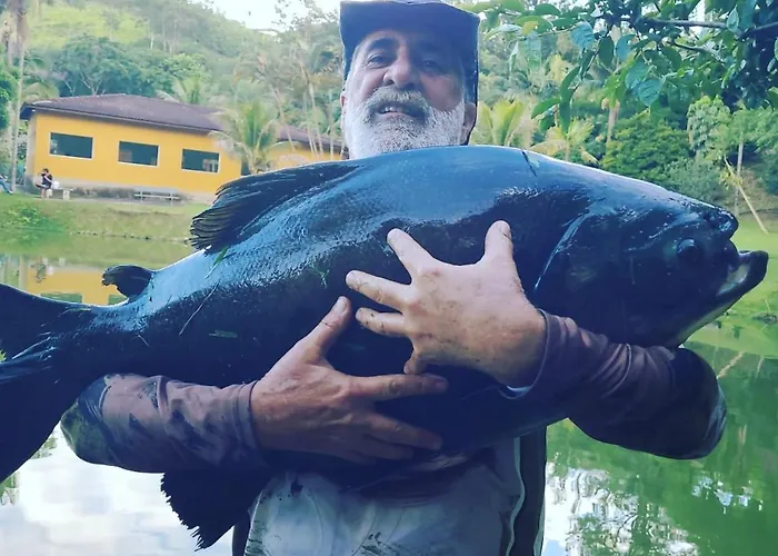 Pousada Paraiso Serra Negra 