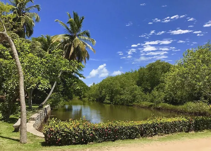Eco Pousada Paraiso Dos Coqueirais Japaratinga