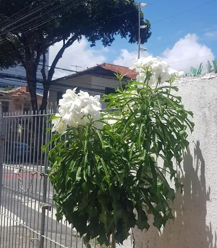 A Pousada Acero'Lar Recife