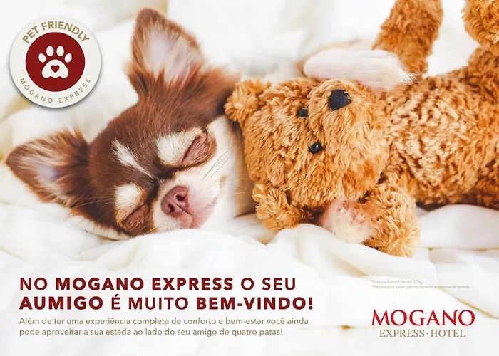 Os 3 melhores hotéis spa em Chapecó para uma escapada relaxante