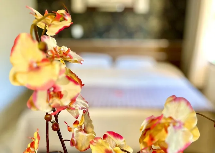 Hotel Fenice Foz do Iguaçu
