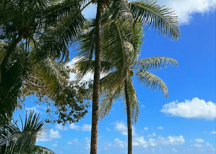 Pousada Minha Praia João Pessoa