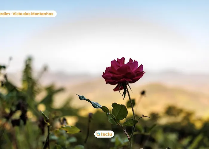 Pousada Le Monte Cristo C/ Cafe Guaramiranga