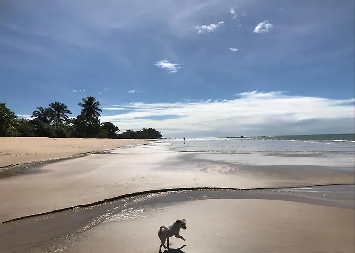 Cheiro Nativo - Chales & Pousada Trancoso