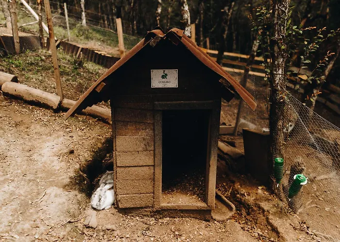 Chale Harmonia Da Floresta- Pousada Cachoeira Da Neve Urubici