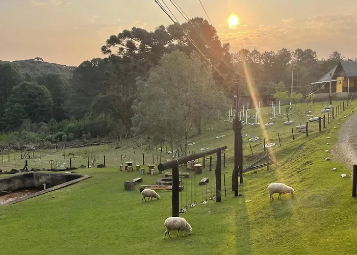 Cabanas em Canela - Leão da Tribo de Judá