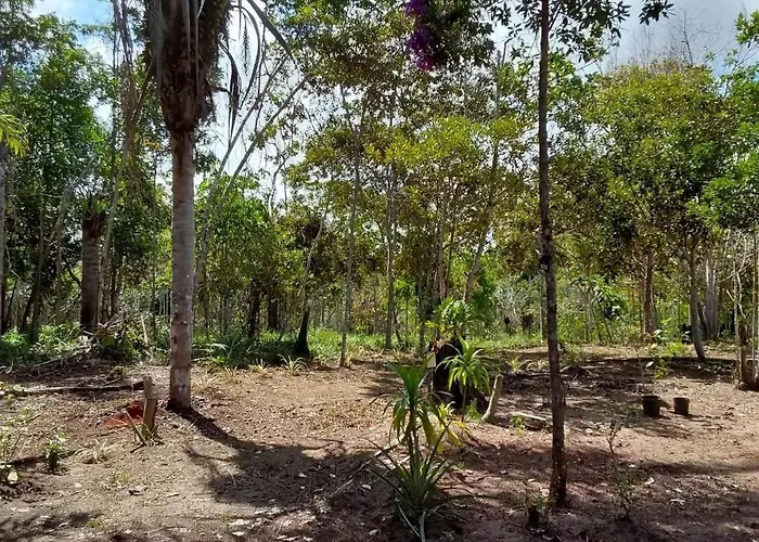 Santuario Sitio Dos Oriundos Vila Itacaré