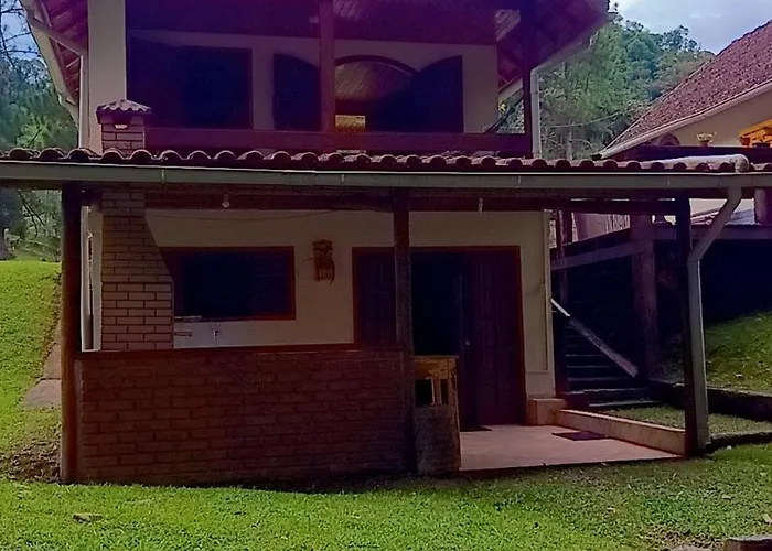 Palmeira Azul Visconde De Maua