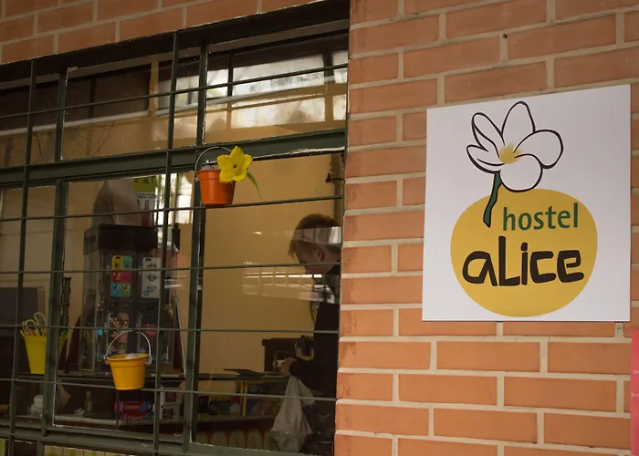 Hostel Alice E Padoca Vegan São Paulo aceita animais de estimação
