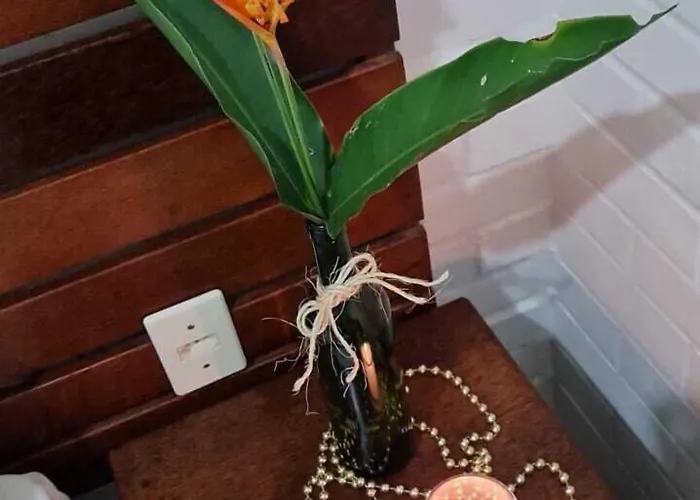 Pousada Vila Anaua Japaratinga