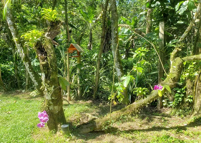 Pousada Tartarugas De Pauba