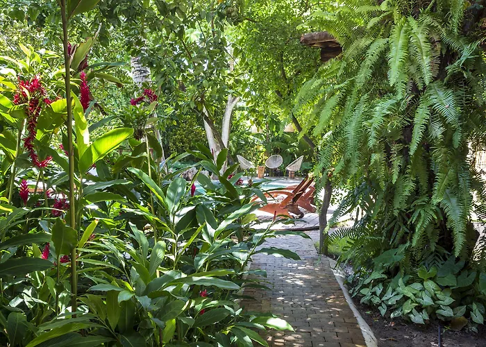 Casa Das Águas Trancoso