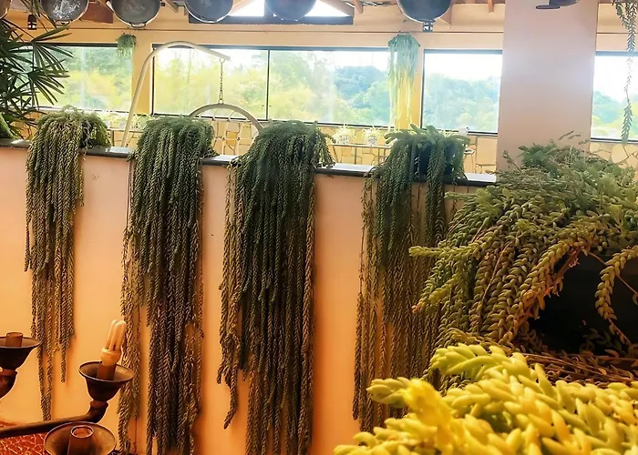 Pousada Canto Das Corujas São Roque