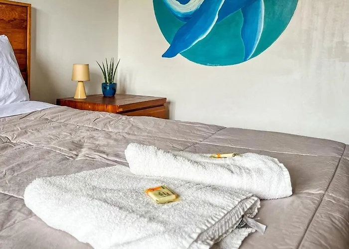 Patz Houz Hostel Florianópolis