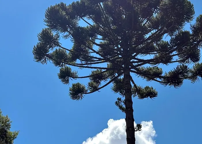 Empório reserva da serra com área lazer natureza e excelente localização Campos do Jordão