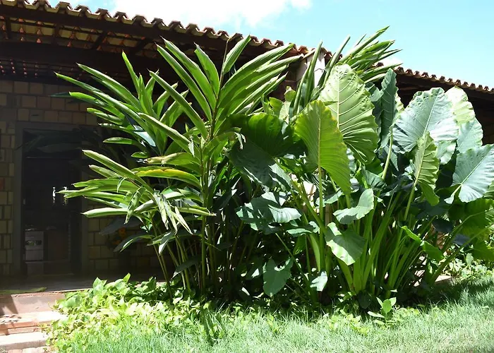 Recanto Do Rei Chales São Miguel do Gostoso