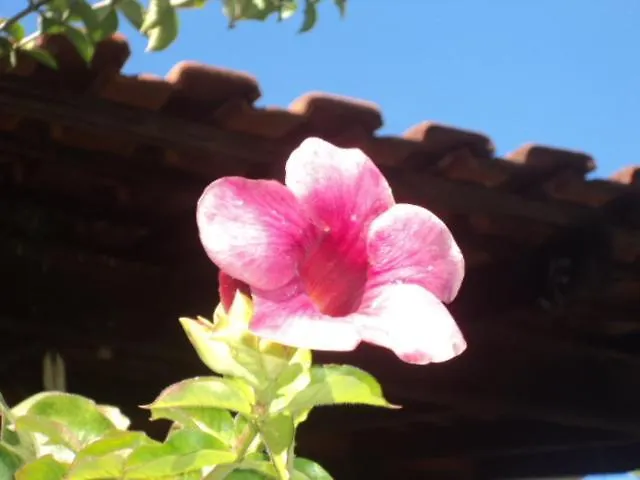 Pousada Keluz Olímpia