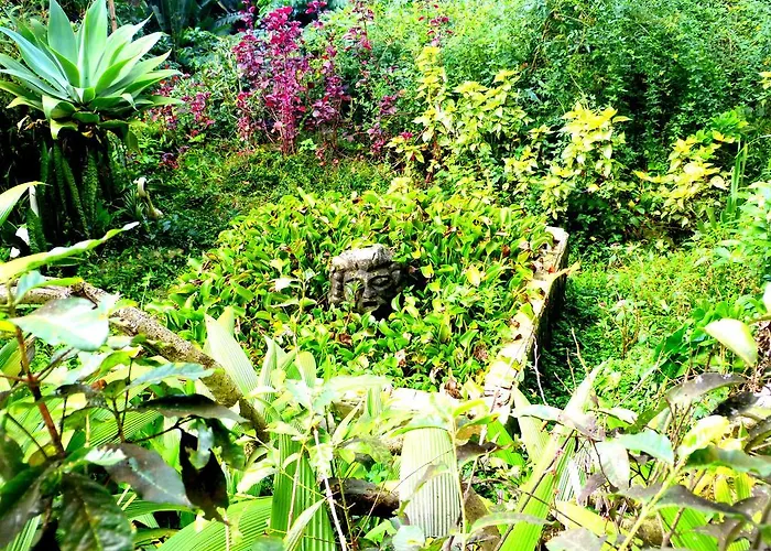 Pouso das Glicínias - B&B Ouro Preto 