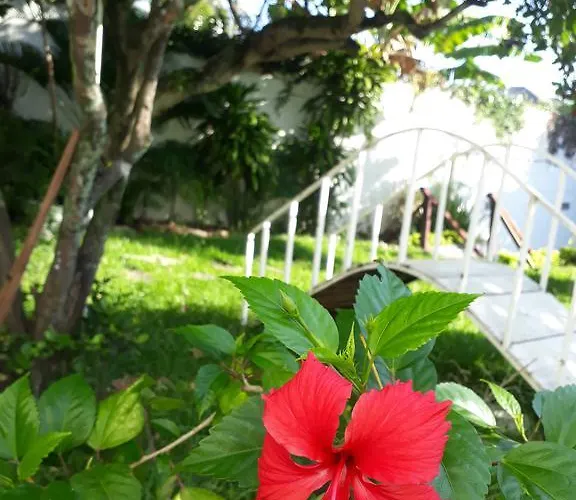 Lodges in Rio de Janeiro