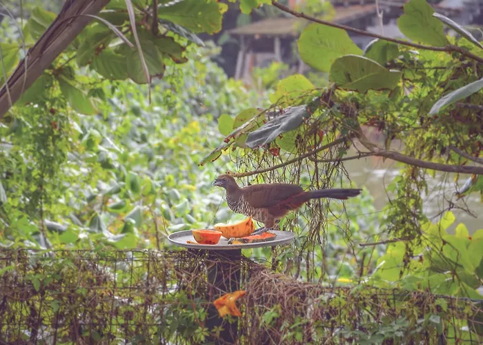 Pousada Canto Da Brava Balneário Camboriú