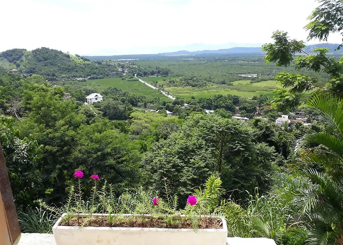 Floresta Tropical Rio de Janeiro